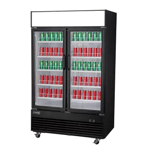 Réfrigérateur professionnel à Double porte en verre, réfrigérateur vertical pour boissons