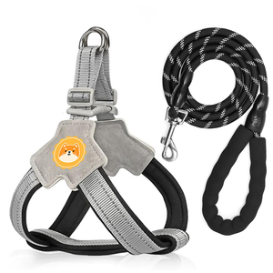 Custom LED <b>Dog</b> Harness OEM/ODM Breathable Mesh Polyester/Nylon Eco-Friendly No Pull Reflective <b>Padding</b> Your Logo Accepted - Product Image 1