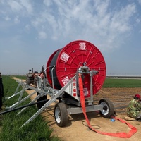 Máquina de Riego con Carrete de Manguera Serie JP con Pluma Articulada para Agricultura