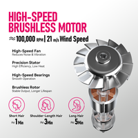 Sèche-cheveux ionique FirePhoenix M2 1875W, moteur sans balais 100000 tr/min, séchage rapide en salon 21 m/s, faible bruit, léger, diffuseur, 125V