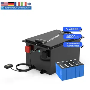 Custom 48 Volt 48v 51.2V 50Ah 100Ah 200Ah In Golf Carts Rv Atv Automotive Autozone Leisure Lithium Lifepo4 Battery Packs