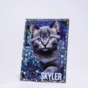 工場カスタム レインボーカード アルミフィルムバッグ入り トレーディングカード フォイルコレクタブルカード ブースターパック付き - Product Image 2