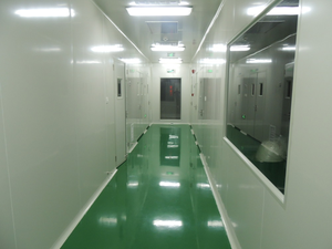 Extrait de Cynomorium Songaricum : Soutien Rénal et Stimulant de Vitalité – Poudre Pure Naturelle Suo Yang 10:1 20:1 – Personnalisable en Vrac - Product Image 6