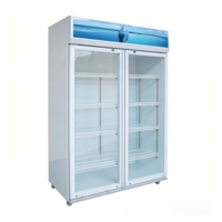 Vitrine réfrigérée commerciale à double porte avec refroidissement direct par air, capacité de 829 L, 8 étagères réglables, marque Richall
