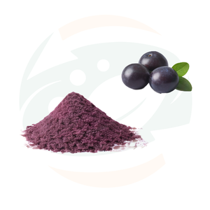 Pó de Açaí Liofilizado Premium de Fábrica por Atacado, Ingrediente Superalimento Rico em Antioxidantes para Suplementos Nutricionais - Product Image 4