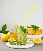 Meilleur Prix Concentré de Jus de Citron de Qualité Alimentaire en Poudre Extrait Végétal Emballage Sous Vide en Fût et Bouteille