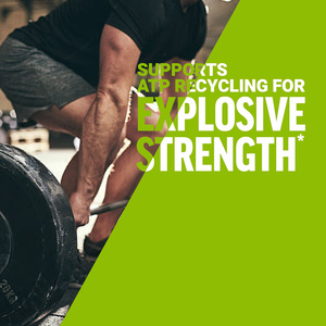 Polvo de Monohidrato de Creatina micronizada pura OEM ODM GMP para soporte muscular ejercicio recuperación entrenamiento de fuerza - Product Image 2