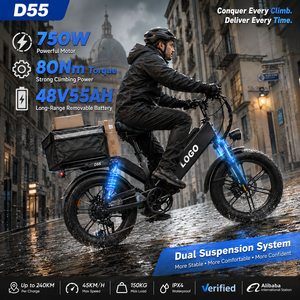 Bicicleta Eléctrica de Carga D55, Llanta Gruesa de 20 Pulgadas, 750W, 48V55Ah, Doble Suspensión, Cuadro de Aluminio, Bicicleta de Reparto Impermeable - Product Image 1