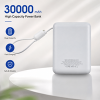 Batterie externe multifonctionnelle portable personnalisée 30000 mAh avec charge rapide PD22.5W en promotion