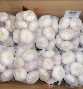 2023 Chinese Fresh White Garlic Factory Pure White Fresh Garlic Price Bulk Normal White Garlic From China