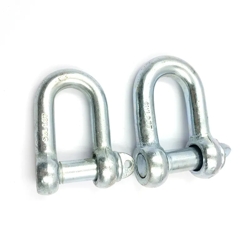 China Imported Dee Shackle Stainless steel high tensile for Retail Industry G2150 Dee Shackle
