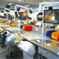 Tema de ciencia médica Modelo dental estándar 28 piezas Dientes Modelos de ortodoncia Todo el soporte de metal