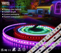 Tira de Luz LED RGBW DMX512 de 10 mm, PCB Negro, Cobre, IP67, DC24V, SMD5050, 60 LED, Bajo MOQ, Control por Voz y USB, para Proyectos de Iluminación de Paisajes