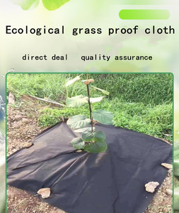 Toile <span class=keywords><strong>de</strong></span> paillage en polyester anti-mauvaises herbes pour la croissance des plantes - Sacs <span class=keywords><strong>de</strong></span> culture durables anti-mauvaises herbes pour jardiniers paresseux - Product Image 5