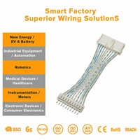كابل طاقة JST 2-16 دبوس بمسافة 2.0 مم بين الدبابيس، محول أسلاك معزول بالـ PVC للاستخدام في الأجهزة المنزلية والآلات، متاح بنظام ODM/OEM