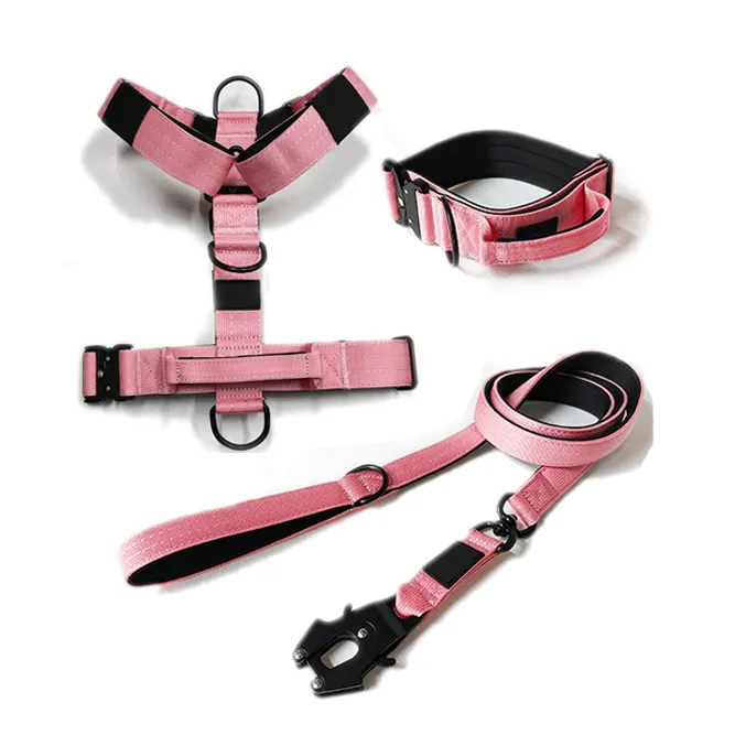 Custom Tactical Training Combat Dog Harness Leash Set Taktisches Hundehalsband dog collar and leash set Comfortable Handle