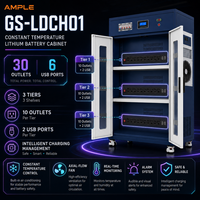 Armoire de gestion de batteries au lithium à température constante, double porte, 3 niveaux, 30 prises, 6 ports USB pour entrepôt d'usine