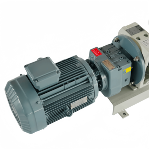Direct Connection Sanitary Grade Screw <b>Pump</b> for <b>Water</b> Treatment Low Rotational Speed and High Vibration WEB120 Digital Dosing Pu - Product Image 3