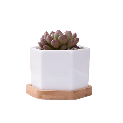 Hexagon Small White Succulent Planter Pots with Bamboo Tray Geometric Cactus Plant Holder Container