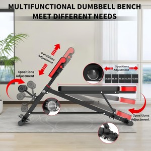 Banc de musculation multifonctionnel en acier CZFIT avec support pour barre, banc d'entraînement pliable et abordable pour la remise en forme - Product Image 3
