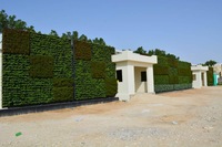 Système de culture hydroponique vertical carré auto-arrosant pour l'extérieur, mur de jardinage, pot de fleurs écologique