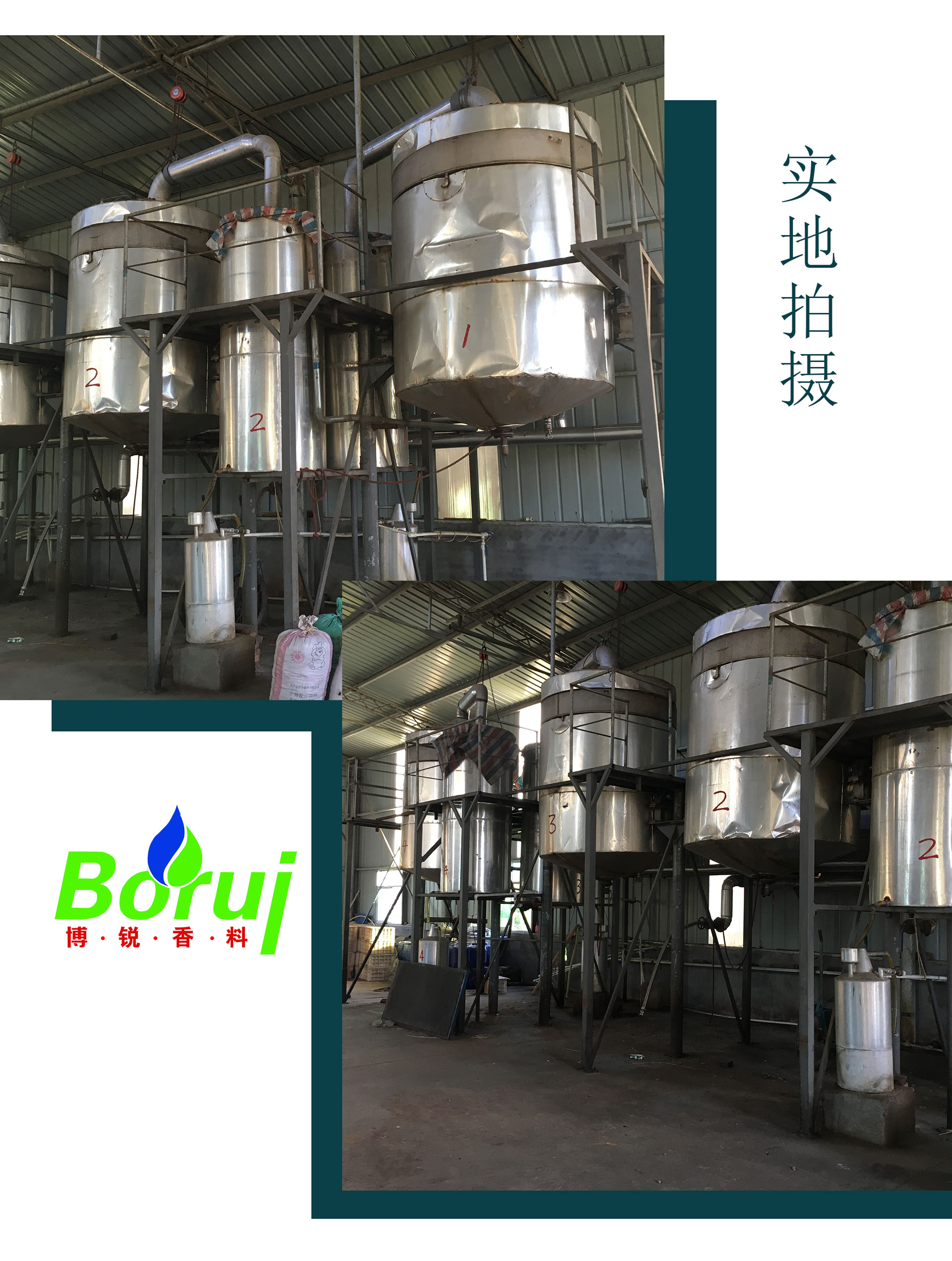 Wholesale Bulk Price Organic 100% Natural Pure Litsea Cubeba Essential Oil For Soap Making