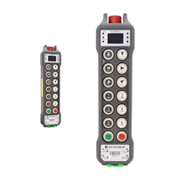 Control Remoto Inalámbrico para Grúa Hidráulica de Doble Velocidad con 12 Botones y Protección IP66