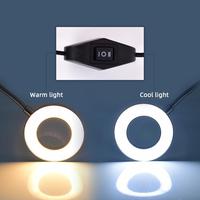 Nail Tattoo Spa USB LED Lampe de bureau Lumière chaude/froide Tatouage des sourcils Nail Art Salon de beauté Outils pour le maquillage permanent