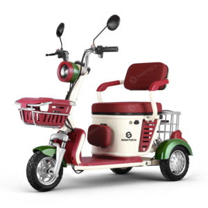 SIGOTECH OEM Triciclo Elettrico a <span class=keywords><strong>Tre</strong></span> <span class=keywords><strong>Ruote</strong></span> con Batteria a Lunga Autonomia 60V Scooter Elettrico per Anziani - Product Image 5