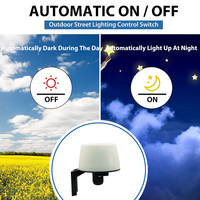 Lámpara de Calle Ajustable para Exteriores CNRIYA con Fotocontrol Electrónico, Interruptor Inductivo, Sensor Día/Noche, LED Disponible, IP54/IP44