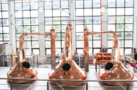 Alambic de distillation artisanal DYE 2000L à chaleur gazeuse en cuivre pour distilleries agricoles, pour la fabrication de brandy de fruits, gin et grappa