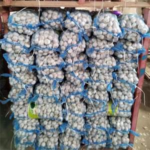 <span class=keywords><strong>Ajo</strong></span> Blanco Puro y Fresco Natural en Venta a Bajos Precios 5.0cm 5.5cm Fábrica de <span class=keywords><strong>Ajo</strong></span> Jining - Product Image 5