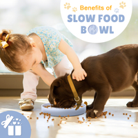 Bol de nourrissage lent pour chien en silicone de qualité alimentaire avec base à ventouse et couvercle en tapis à lécher pour chiens de petite, moyenne et grande taille