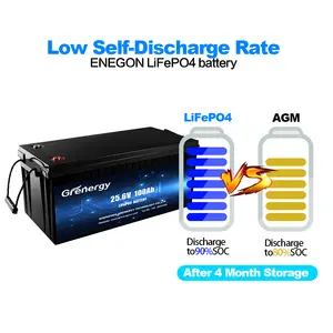 Shenzhen Grenergy Hot Sale Rechargeable Batteries Lifepo4 Battery 100ah