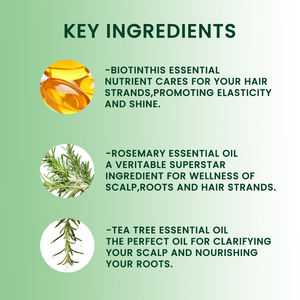 <span class=keywords><strong>Shampoo</strong></span> Volumizzante con Biotina e Rosmarino per <span class=keywords><strong>Capelli</strong></span> Diradati, per Uomo e Donna, con Vitamine del Gruppo B e Olio di Tea Tree per la Crescita - Product Image 2