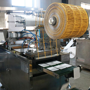 무료 샘플 천연 허브 핫 & 콜드 통증 패치 원적외선 및 멘톨 포함 CE 인증 저렴한 가격 - Product Image 6