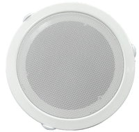 Mini haut-parleur 5 ''haut-parleur de plafond ignifuge haut-parleur de plafond pour parler