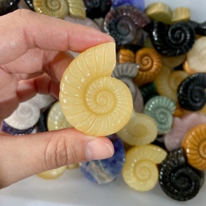 Cristalli Naturali Misti all'Ingrosso, Ammonite Intagliata a Mano, Cristalli Curativi in Quarzo, Artigianato per Arredamento Casa, Guarigione e Regalo - Product Image 3