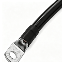 Harnais de câblage sur mesure en fil robuste avec cosses annulaires pour connexion de batterie de stockage d'onduleur solaire