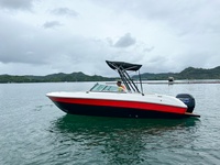 Bateau en fibre de verre avec pare-brise, auvent bimini, coque en V profond, yacht rapide avec moteur hors-bord Mercury 150 CV, bateau rapide pour passagers