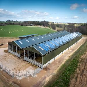 Chuồng gà bằng thép mô-đun-Thiết kế có thể mở rộng để nuôi đàn - Product Image 6