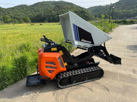 Chaungxin 2026 Kleiner Raupentransporter für den Heimgebrauch, Stehender Hydraulischer Kletterer mit 600kg Tragfähigkeit, Mini-Raupenfahrzeug mit Motorlager