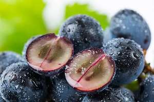 استخدام الطعام في الجمال-سائل من OPC - Product Image 3