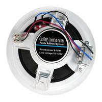 Système de sonorisation PA intérieur haut de gamme 6 pouces 10W, amplificateur durable à alimentation CA unique pour systèmes de sonorisation publique avec subwoofers