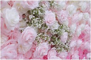 <span class=keywords><strong>Base</strong></span> <span class=keywords><strong>de</strong></span> tela <span class=keywords><strong>de</strong></span> alta calidad 3D Valar Baby Breath Blossom Panel <span class=keywords><strong>de</strong></span> pared Flores artificiales a granel Rose Gradient Color Roll up Flower Wall - Product Image 6