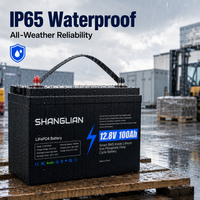 Batterie LiFePO4 12V 100Ah pour stockage d'énergie domestique, panneau solaire, cycle profond 1280Wh, BMS intelligent, phosphate de fer lithium pour systèmes hors réseau