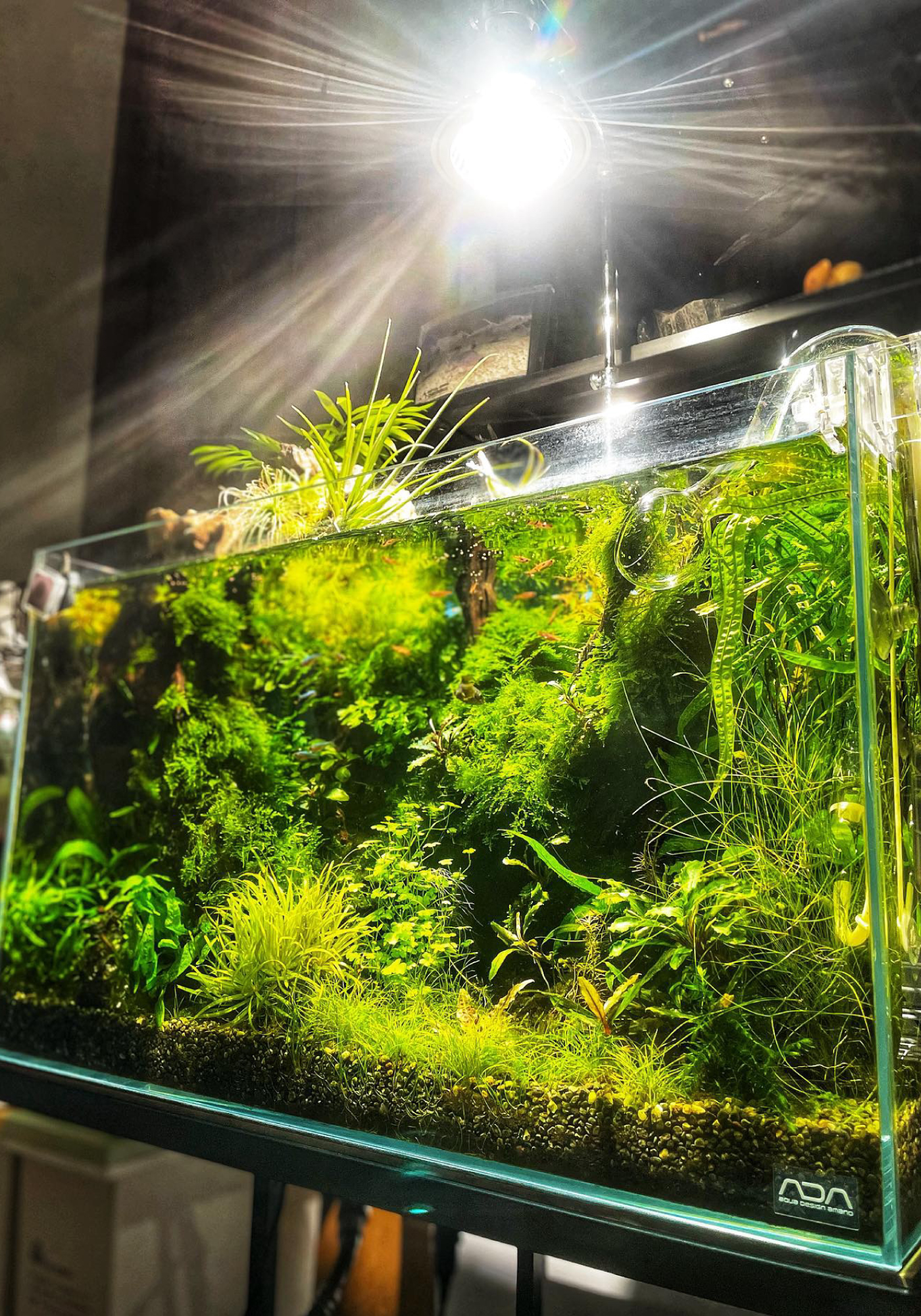 SUSANOO 10W LED Aquarium Lights - High Quality & Waterproof