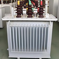 Transformador de Distribución Sumergido en Aceite S13 S20 S22 con 380V Trifásico, Núcleo CRGO Sellado, Dyn11, Cobre Aluminio, Baja Pérdida, Silencioso