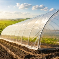 Landwirtschaftliches Mehrspanniges Venlo-Glasgewächshaus mit Photovoltaik-Anlage