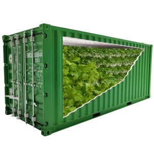 Grand conteneur métallique hydroponique pour système de culture verticale de laitues et légumes à feuilles – Ferme hydroponique en conteneur maritime - Product Image 1